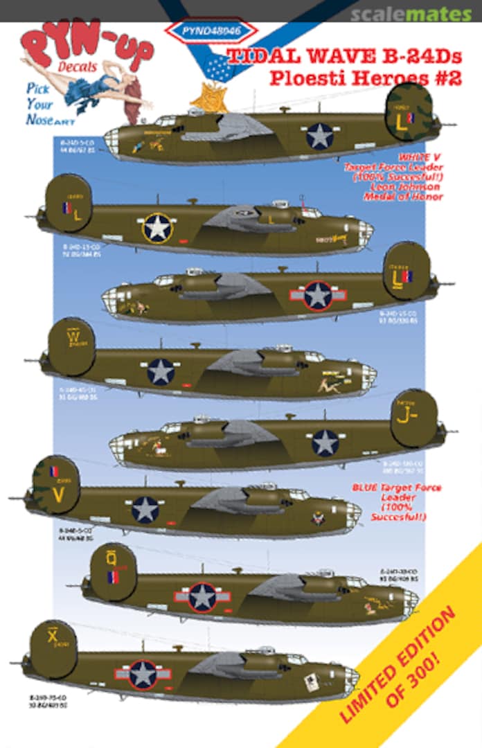 Boxart Tidal Wave B-24Ds: Ploesti Heroes #2 PYND48046 Pyn-Up Decals