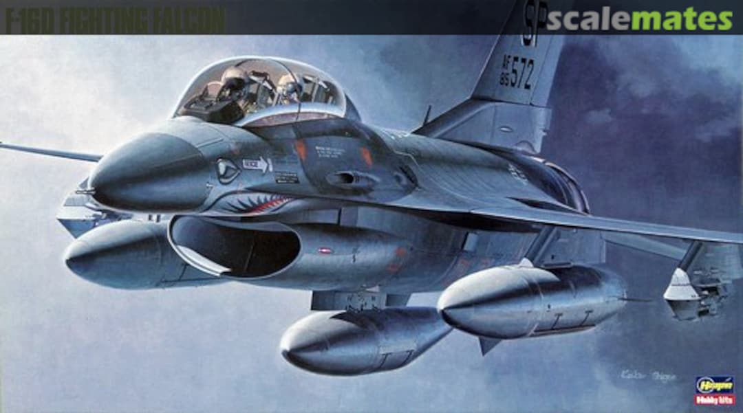 Boxart F-16D Fighting Falcon 06106 Hasegawa