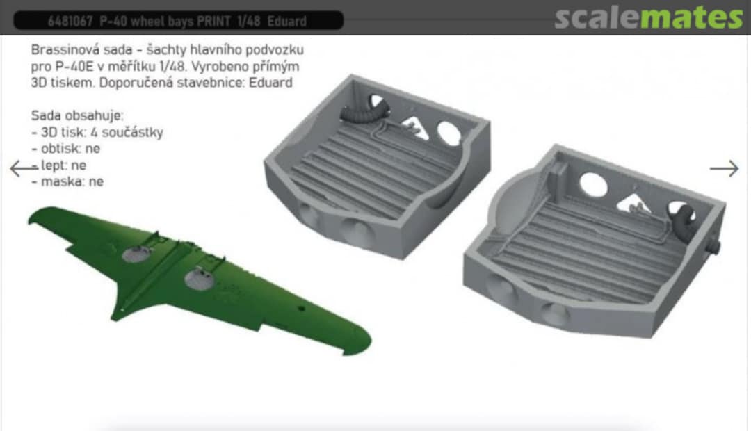 Boxart P-40 Wheel Bays 6481067 Eduard