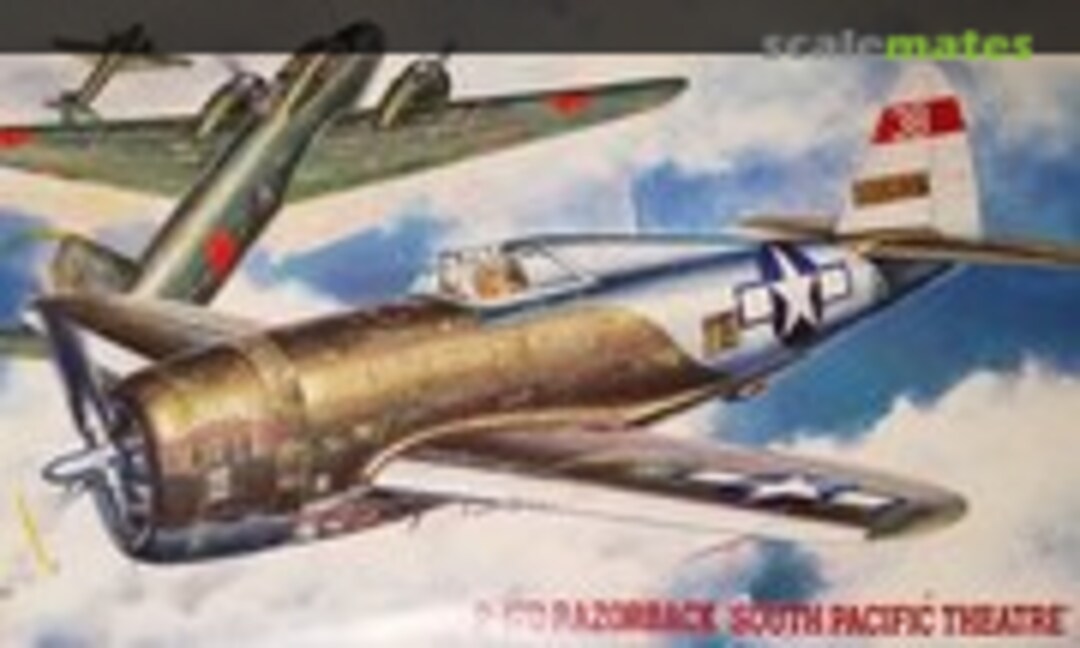 1:48 P-47D Razorback &quot;South Pacific Theatre&quot; (Hasegawa 09058)