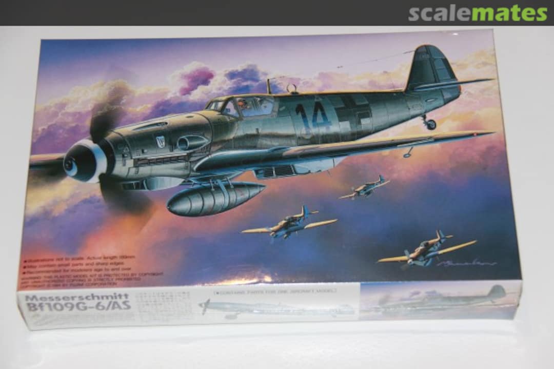 Boxart Messerschmitt Bf109G-6/AS "Special Escort" 48007 Fujimi