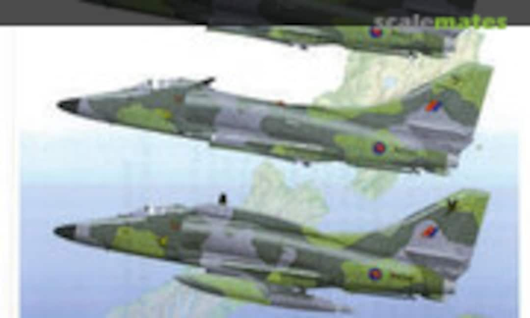 1:32 Royal NZ Air Force A-4K/TA-4K Skyhawk Lizard Schemes (Ronin Decals RDS-026)