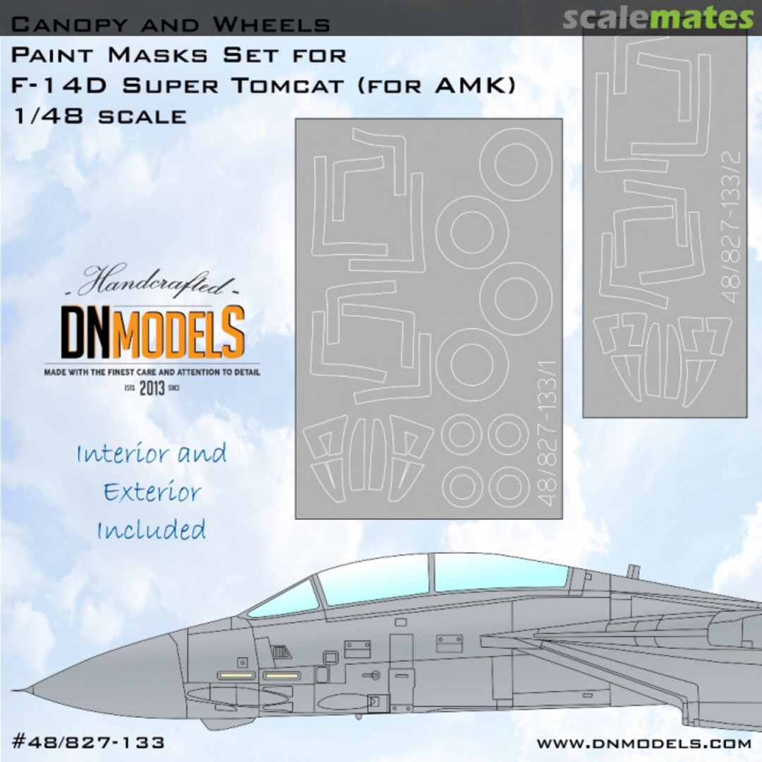 Boxart F-14D Super Tomcat - Canopy & Wheels Paint Masks 48/827-133 DN Models