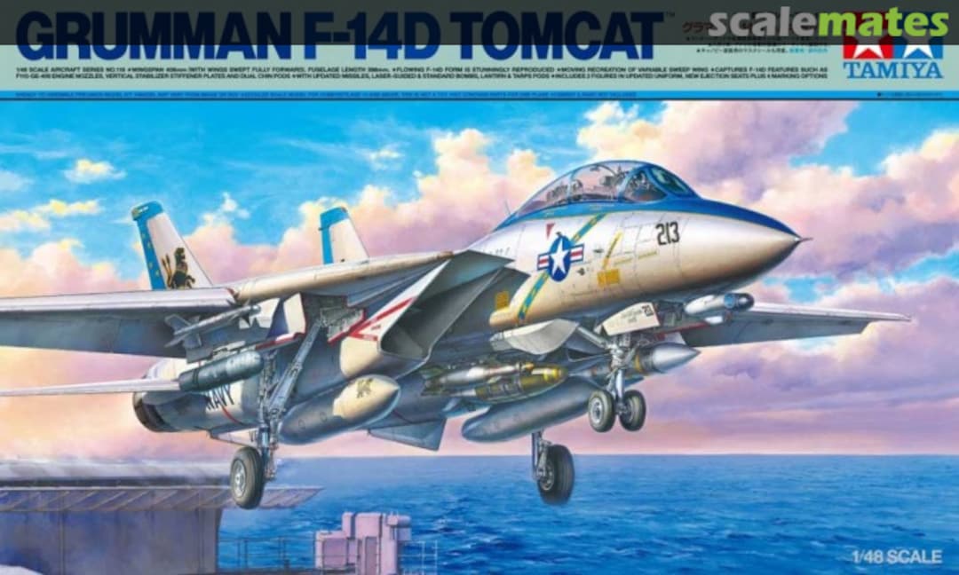 Boxart F-14D Tomcat 61118 Tamiya