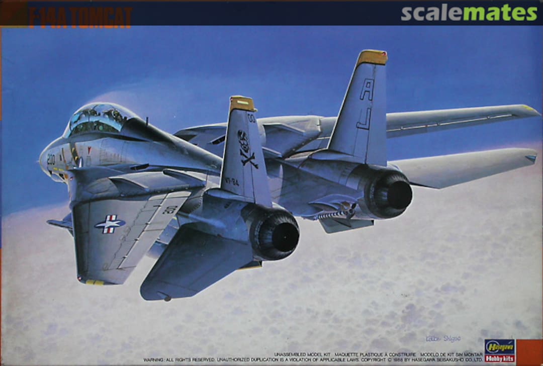 Boxart F-14A Tomcat 04038 Hasegawa