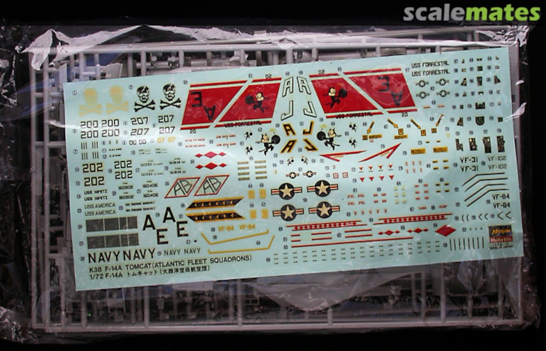 Contents F-14A Tomcat 04038 Hasegawa