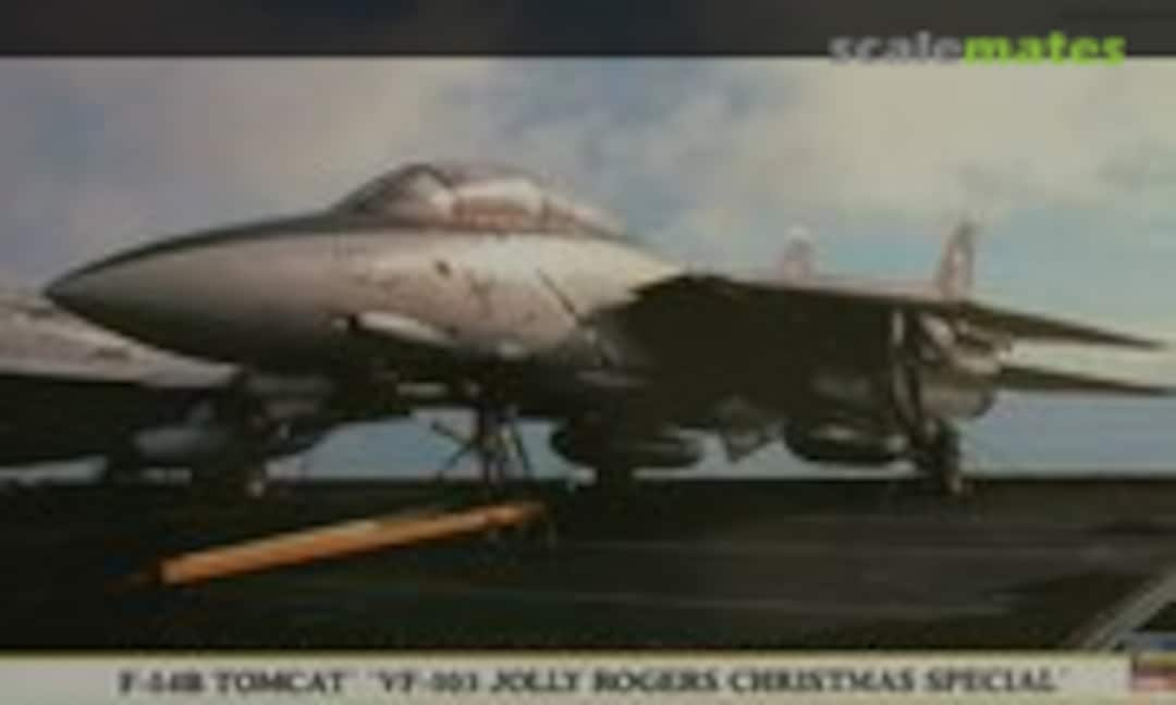 1:72 F-14B Tomcat `VF-103 Jolly Rogers Christmas Special´ (Hasegawa 00938)