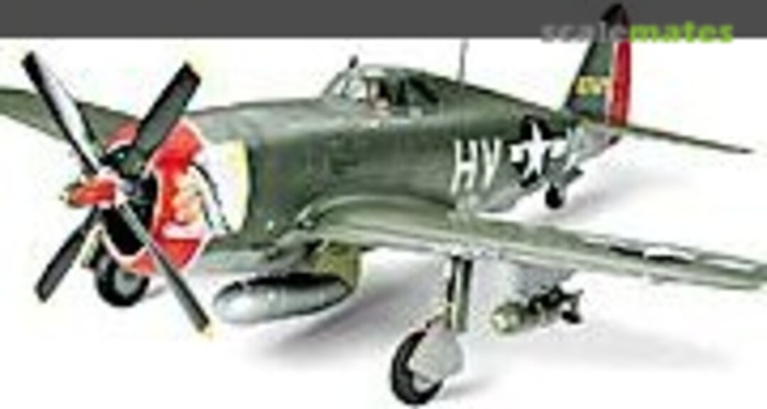 1:48 Republic P-47D Thunderbolt &quot;Razorback&quot; (Tamiya 21034)