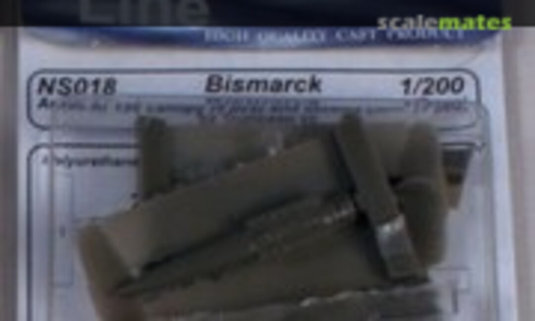 1:200 Bismarck Arado Ar 196 canopy &amp; stowed conversion (CMK NS018)