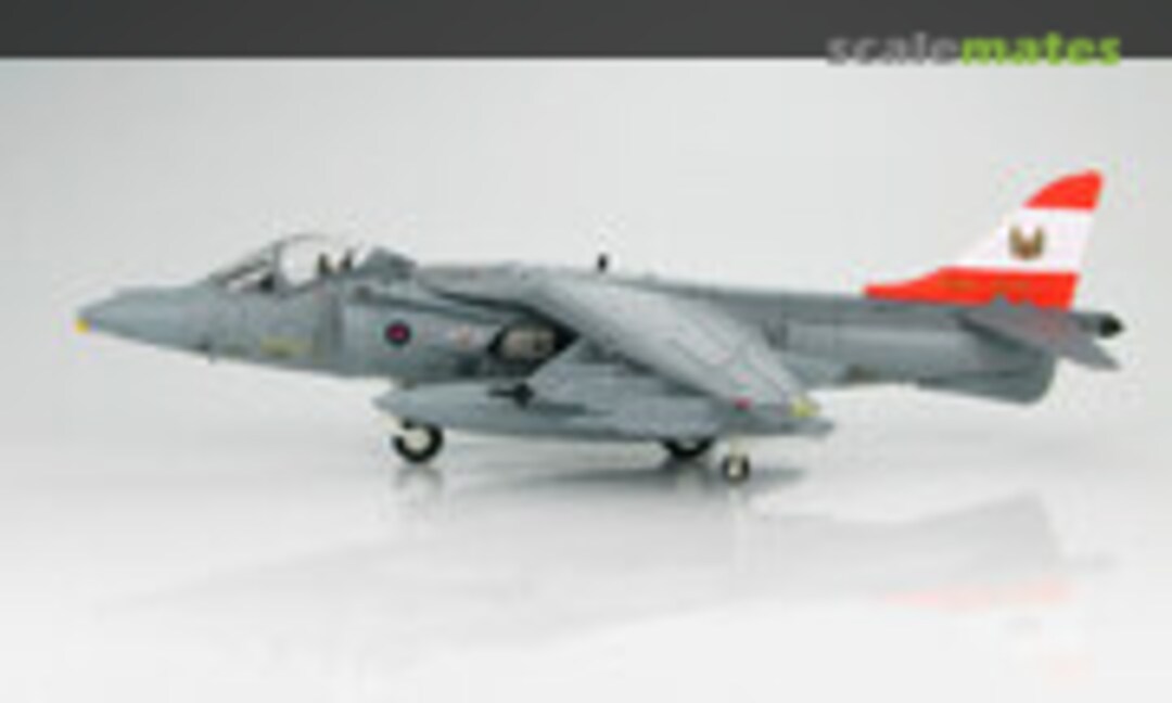 Harrier GR.9 RAF 1 Sqn disbandment scheme &quot;ZG477&quot; (Hobby Master HA2610)