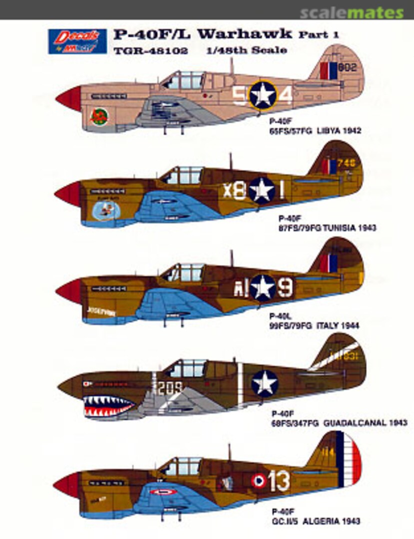 Boxart P-40F/L Warhawk TGR48102 Three Guys Replicas