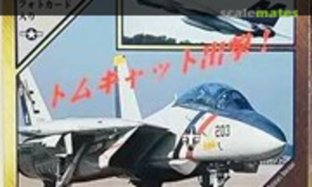 1:144 F-14 Tomcat (Doyusha 401590)