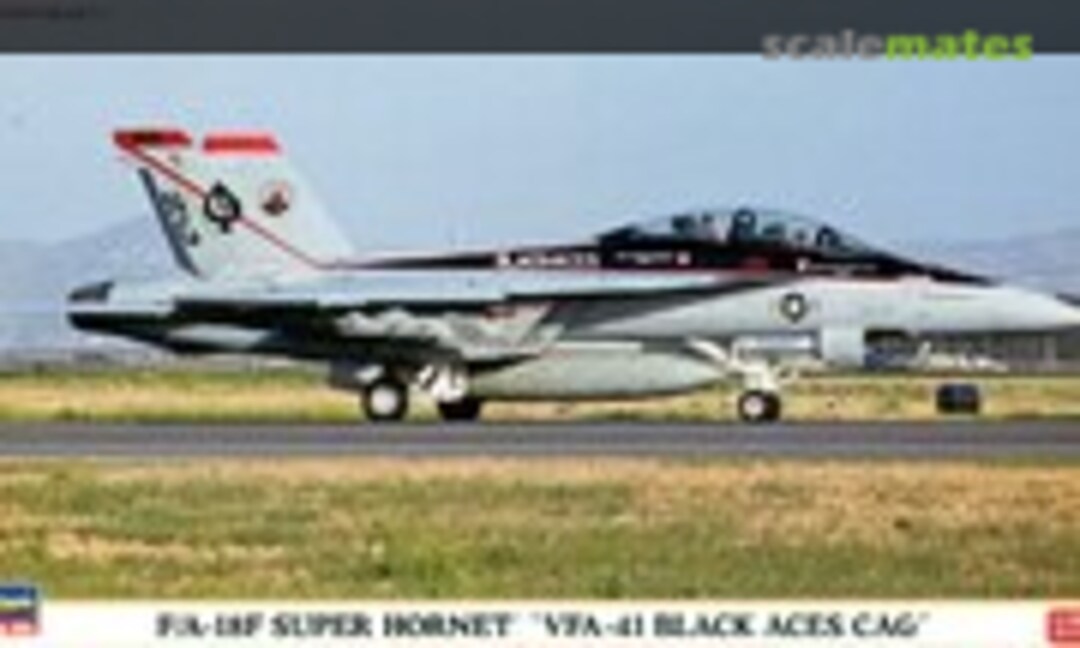 1:72 F/A-18F Super Hornet `VFA-41 Black Aces CAG´ (Hasegawa 02101)