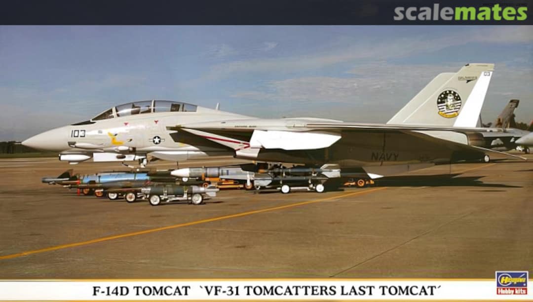 Boxart F-14D Tomcat 00931 Hasegawa