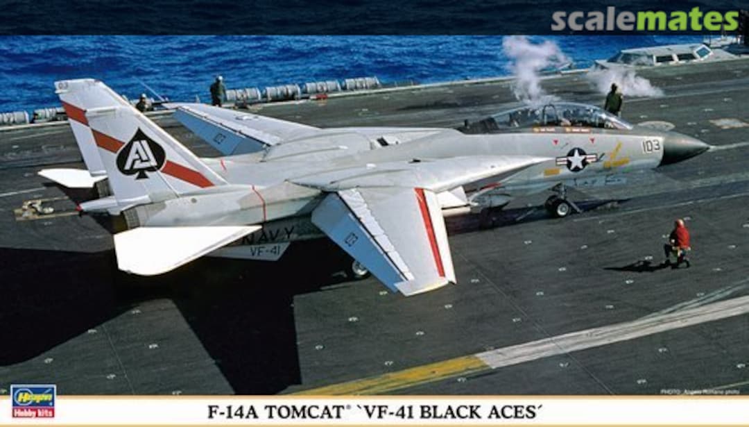 Boxart F-14A Tomcat `VF-41 Black Aces´ 00955 Hasegawa