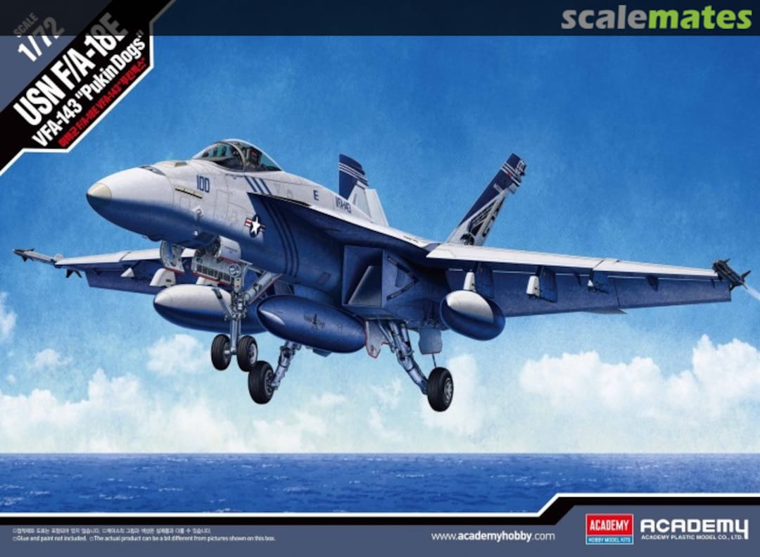 Boxart F/A-18E 12547 Academy