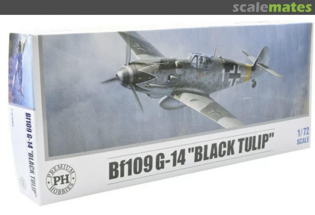 Boxart Bf 109G-14 "Black Tulip" 127v Premium Hobbies