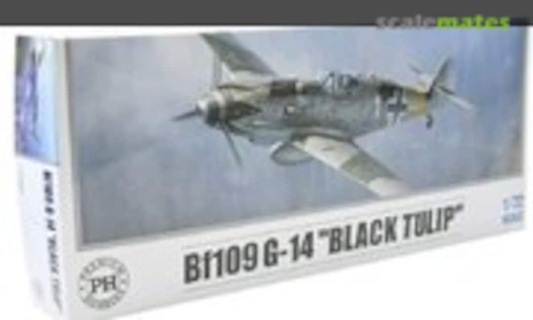 1:72 Bf 109G-14 &quot;Black Tulip&quot; (Premium Hobbies 127v)