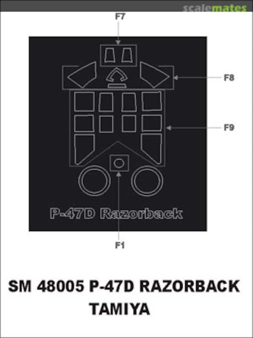 Boxart Republic P-47D Thunderbolt SM48005 Montex