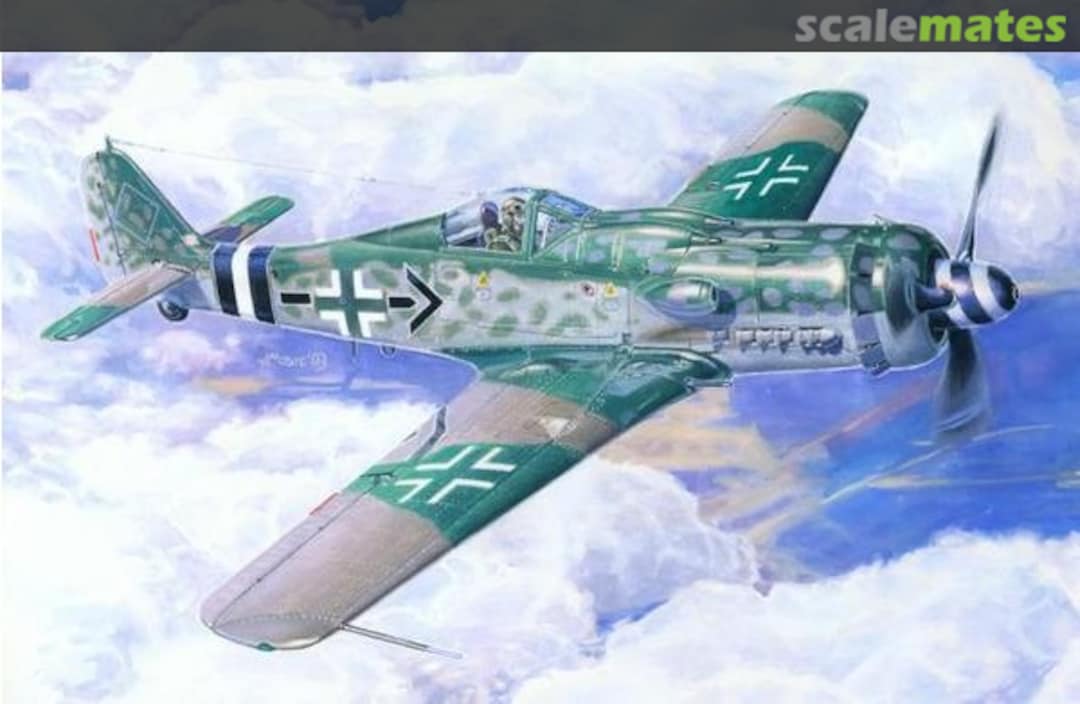 Boxart Fw-190D-9 Michalski C-09 MasterCraft