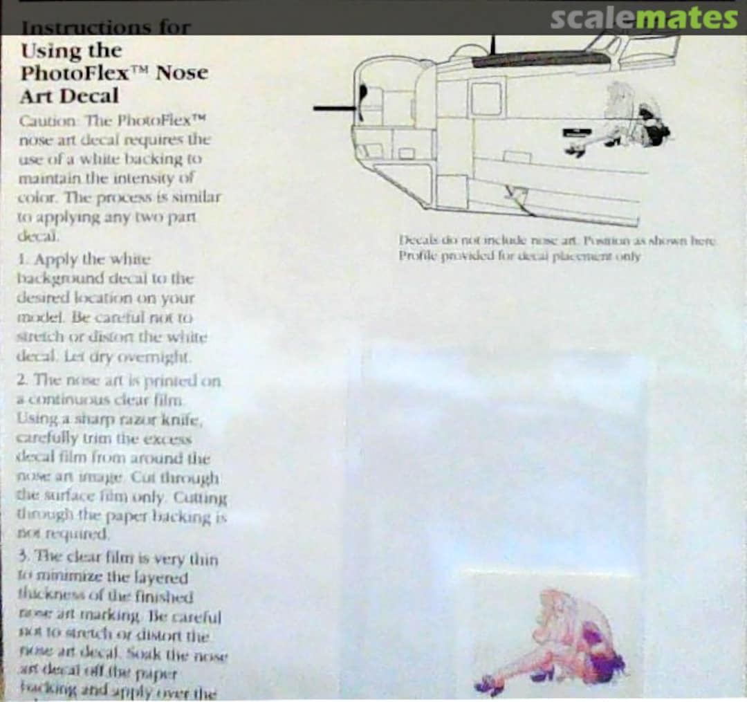 Boxart Nose Art Upgrade for the B24 NAU 72008 White Dog Decals