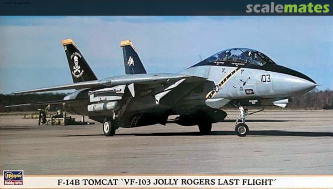 Boxart F-14B Tomcat `VF-103 Jolly Rogers Last Flight´ 00382 Hasegawa