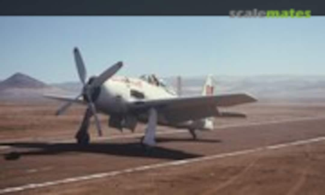 F8F-2 #80