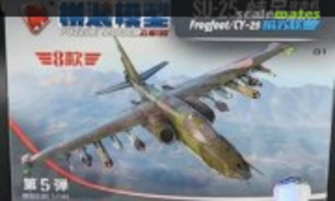 1:144 SU-25 (4D MODEL )