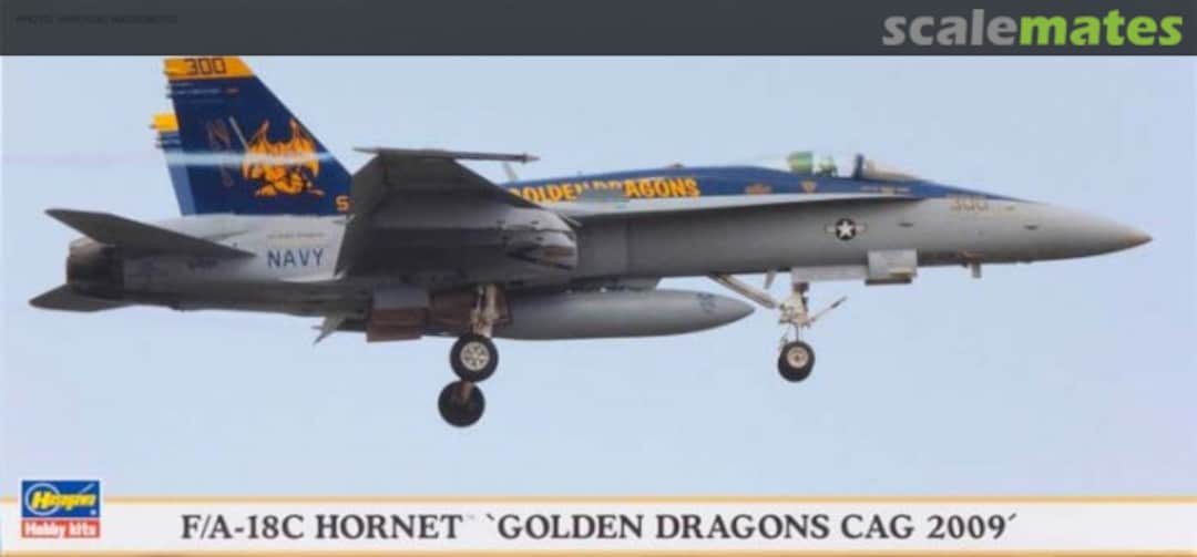 Boxart F/A-18C Hornet `Golden Dragons CAG 2009´ 01903 Hasegawa