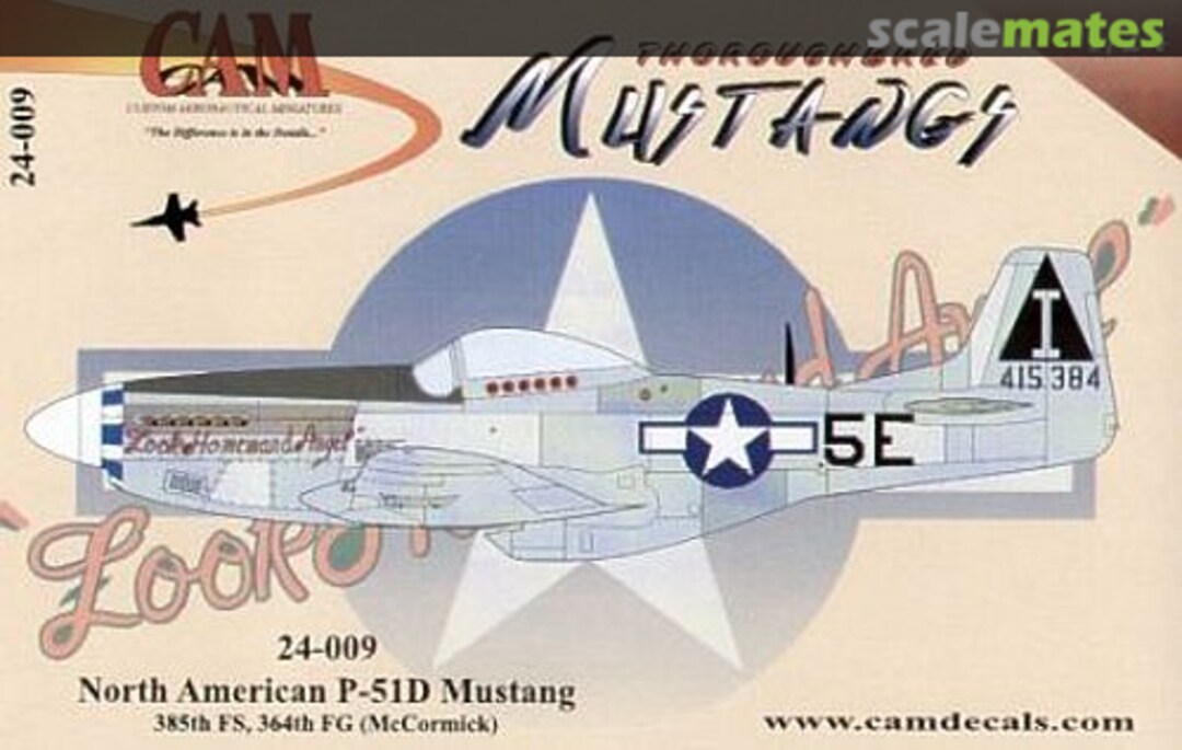 Boxart P-51D Mustang "Look Homeward Angel", 385th FS/364th FG 24009 CAM