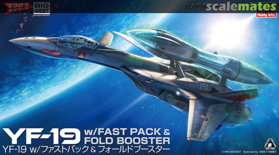 Boxart YF-19 65885 Hasegawa