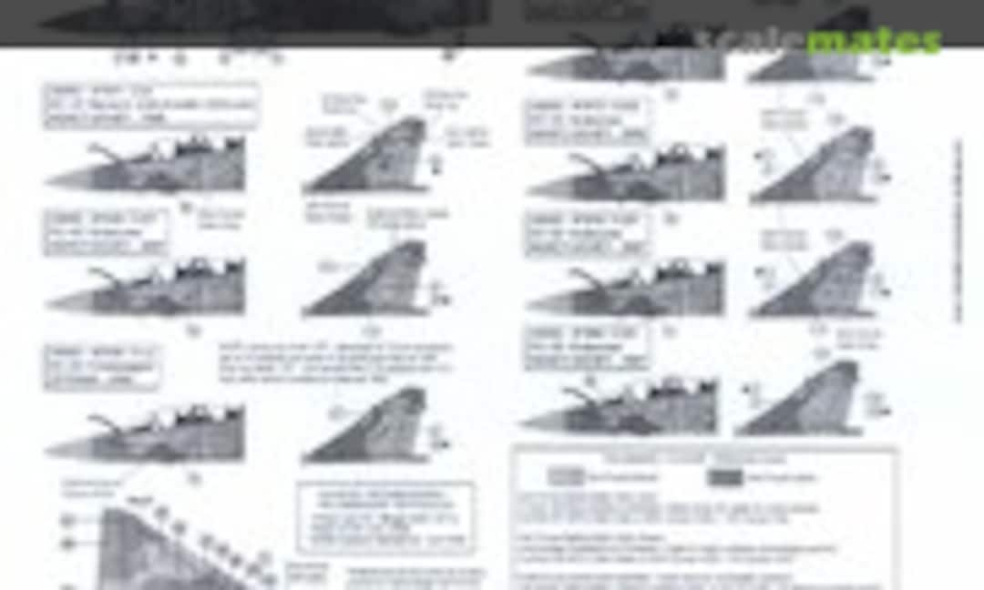 1:48 Dassault Mirage 2000D AdlA (Berna Decals BD 48-48)