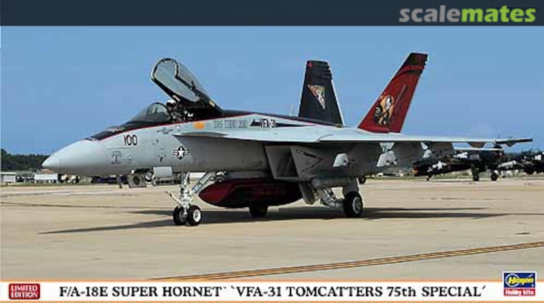 Boxart F/A-18E Super Hornet `VFA-31 Tomcatters 75th Special´ 01947 Hasegawa