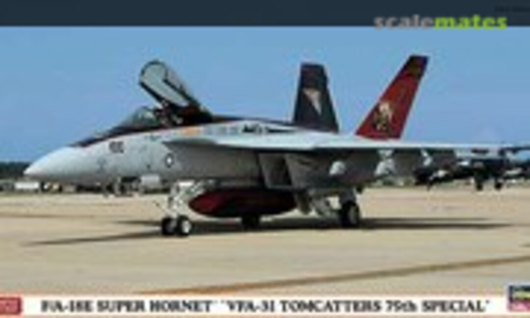 1:72 F/A-18E Super Hornet `VFA-31 Tomcatters 75th Special´ (Hasegawa 01947)