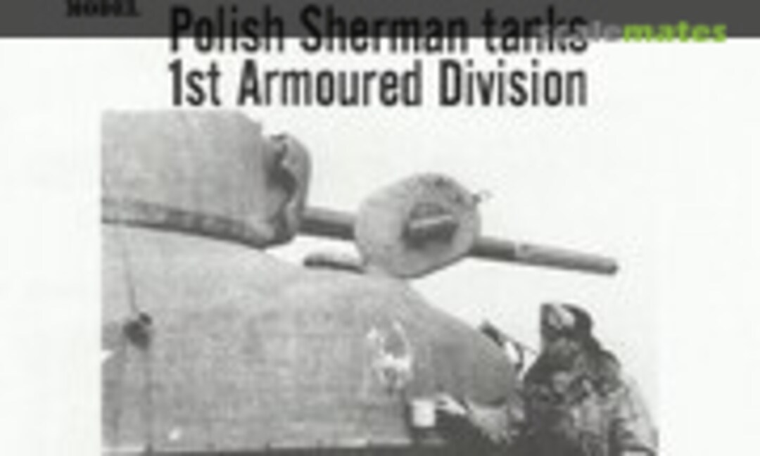 1:72 Sherman tanks (ToRo Model 72D10)