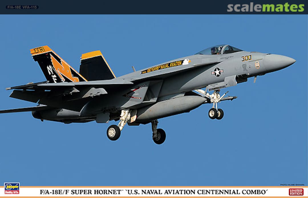 Boxart F/A-18E/F Super Hornet `U.S. Naval Aviation Centennial Combo´ 01963 Hasegawa