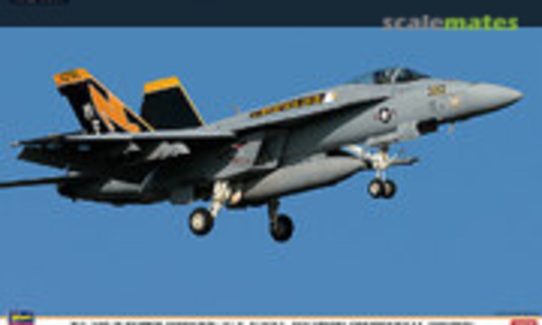 1:72 F/A-18E/F Super Hornet `U.S. Naval Aviation Centennial Combo´ (Hasegawa 01963)