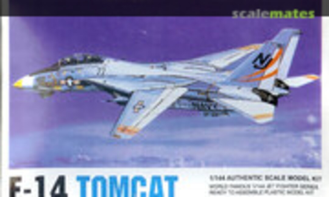 1:144 F-14 Tomcat (Hobbycraft HC1001)