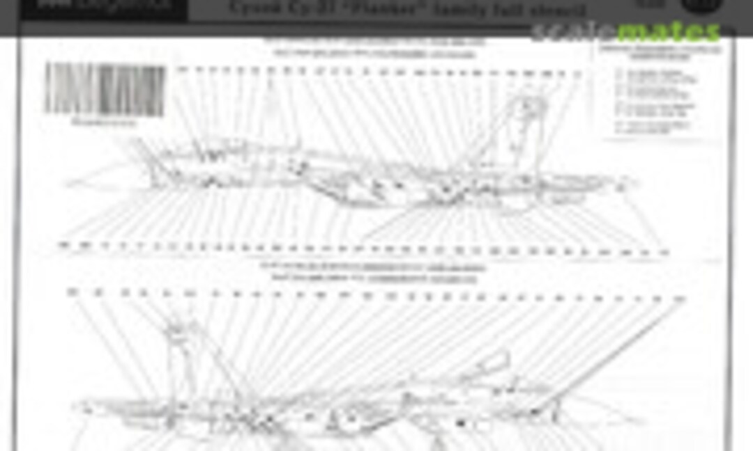 1:72 Su-27 &quot;Flanker&quot; family full stencil (Begemot 72-030)