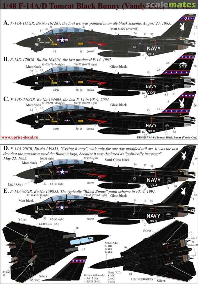 Boxart F-14A/D Tomcat Black Bunny (Vandy One) UR48207 UpRise