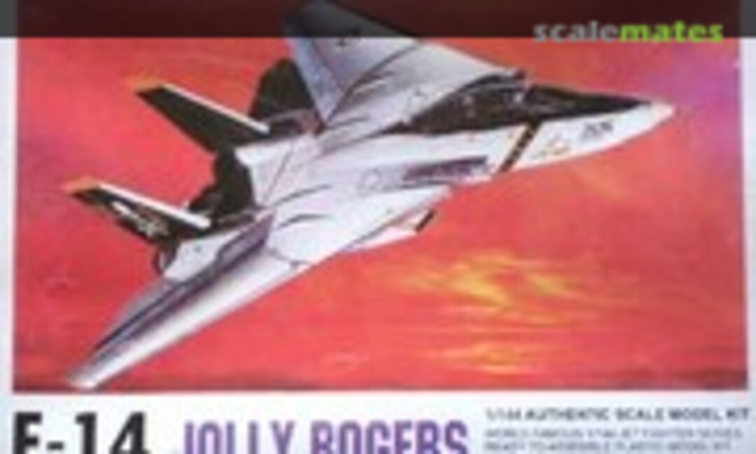 1:144 F-14 Jolly Rogers (Hobbycraft HC1004)