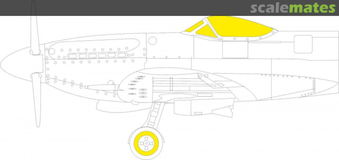 Boxart Seafire F.XVII EX991 Eduard