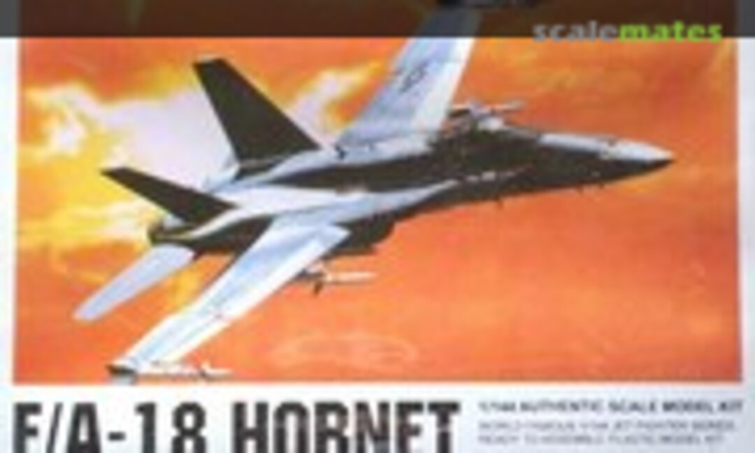 1:144 F/A-18 Hornet (Hobbycraft HC1007)