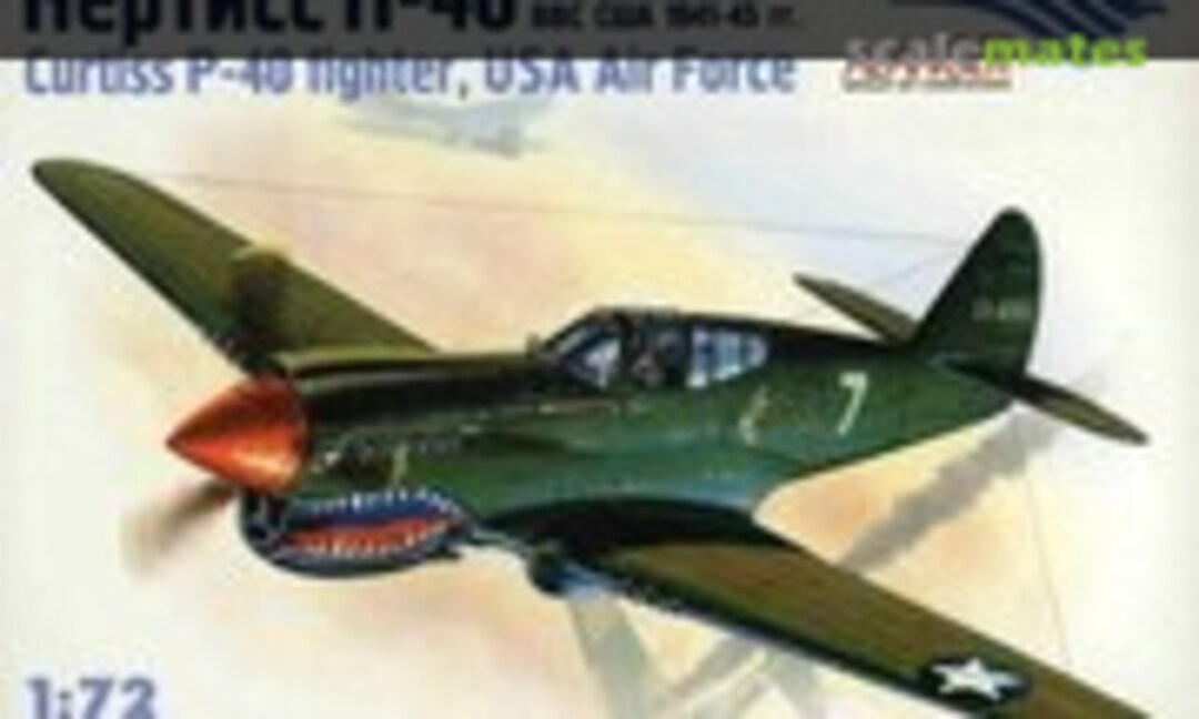 1:72 Curtiss P-40 Fighter, USA Air Force (Alanger 072011)