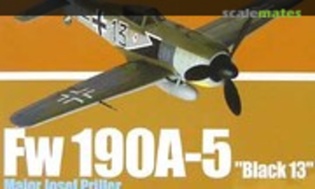 1:72 Fw 190A-5 &quot;Black 13&quot; Major Josef Priller (Dragon Wings 50095)