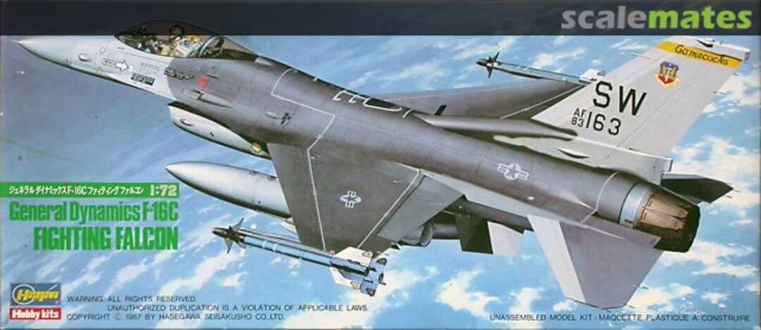 Boxart F-16C Fighting Falcon 603 Hasegawa