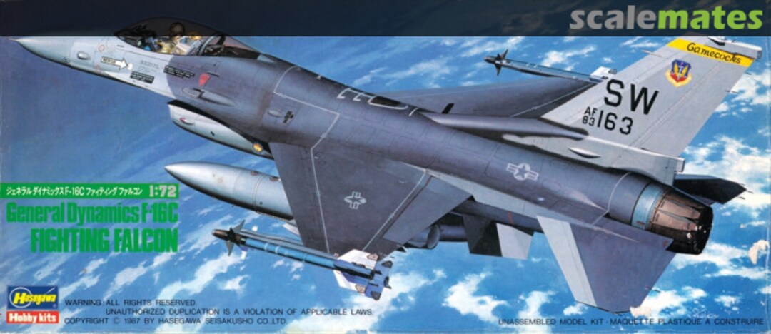 Boxart F-16C Fighting Falcon 603 Hasegawa