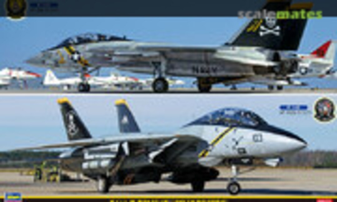 1:72 F-14A/B Tomcat `Jolly Rogers´ (Hasegawa 52146)