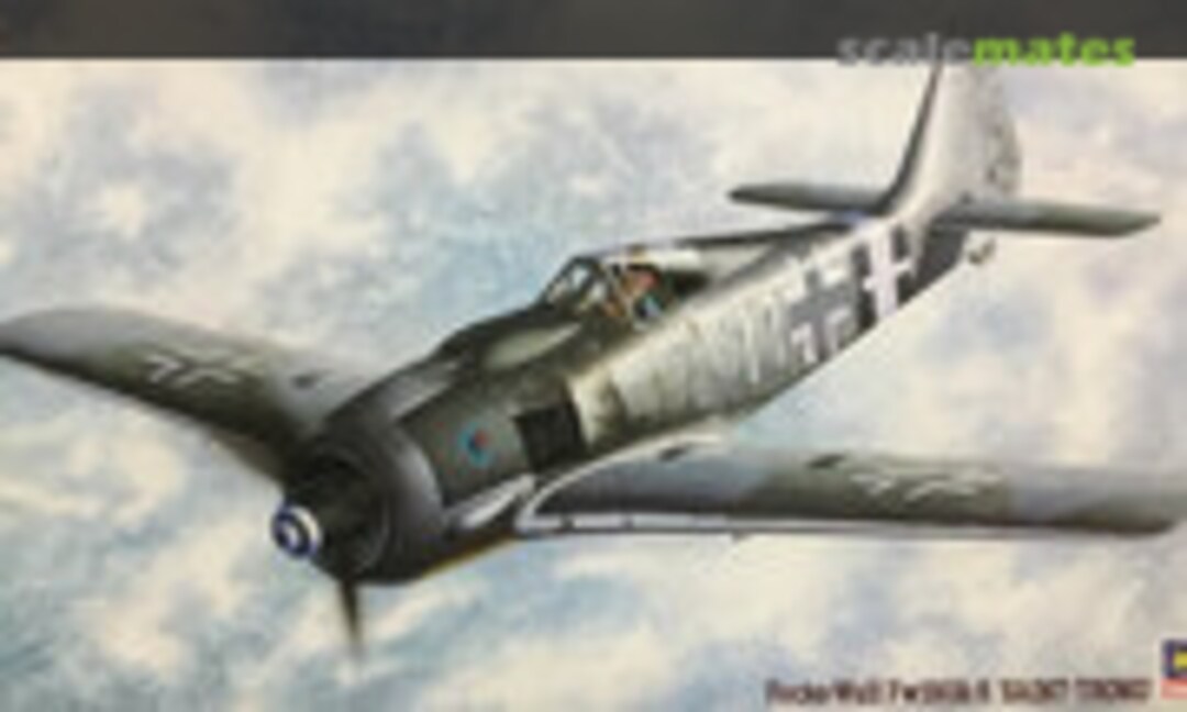 1:48 Focke-Wulf Fw190A-8 Saint-Trond (Hasegawa 09210)