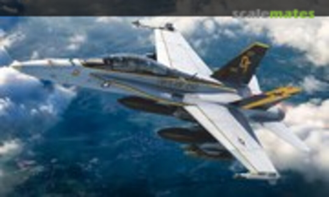 1:48 F/A-18D Hornet VMFA(AW)-242 &quot;Bats&quot; (Kinetic K48121)